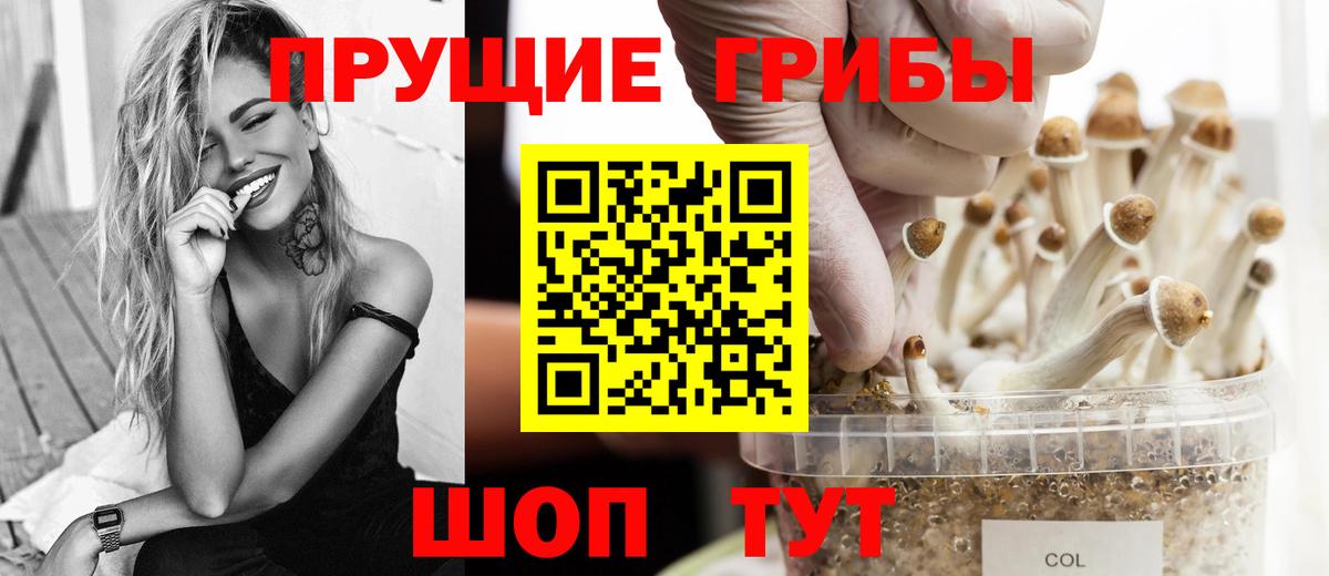 Псилоцибиновые грибы мицелий Лянтор